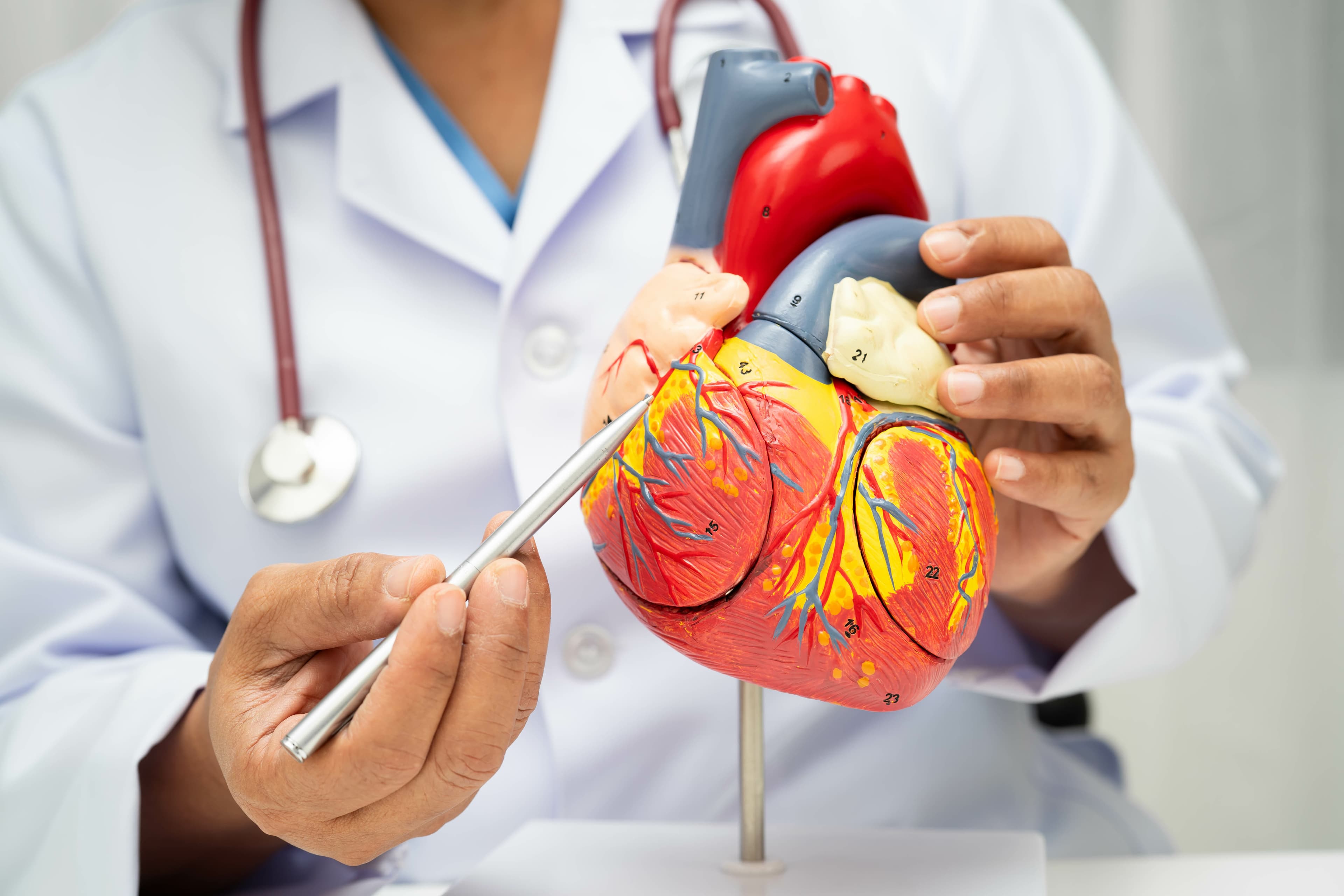heart-disease