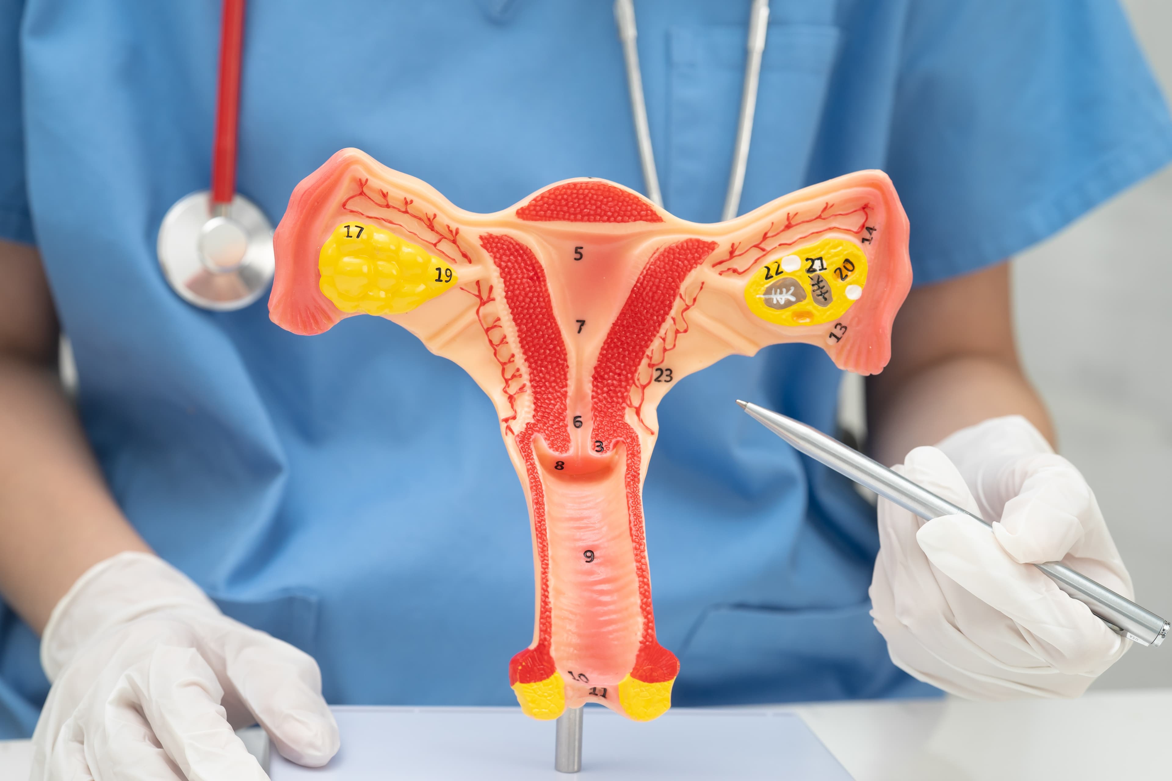 Hysteroscopy