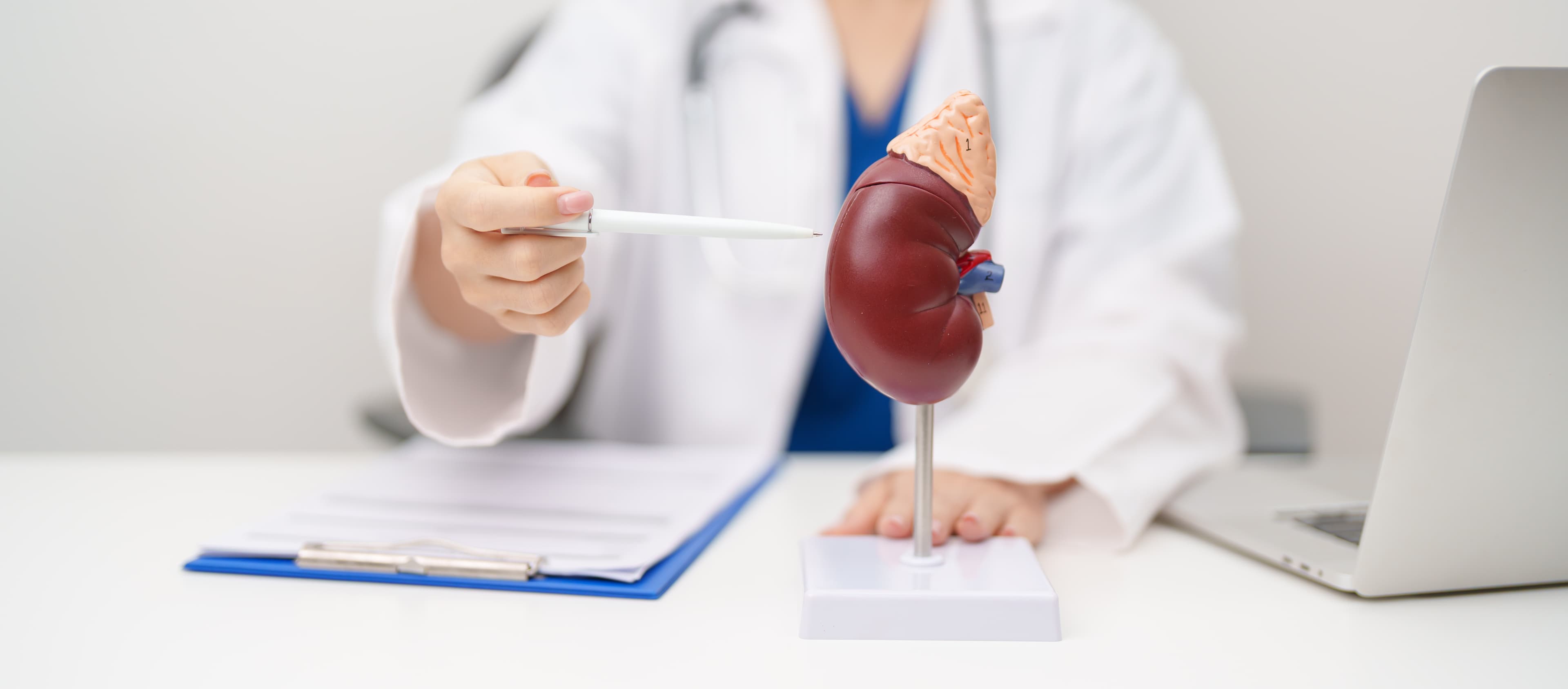 Adrenal Disorder Evaluation