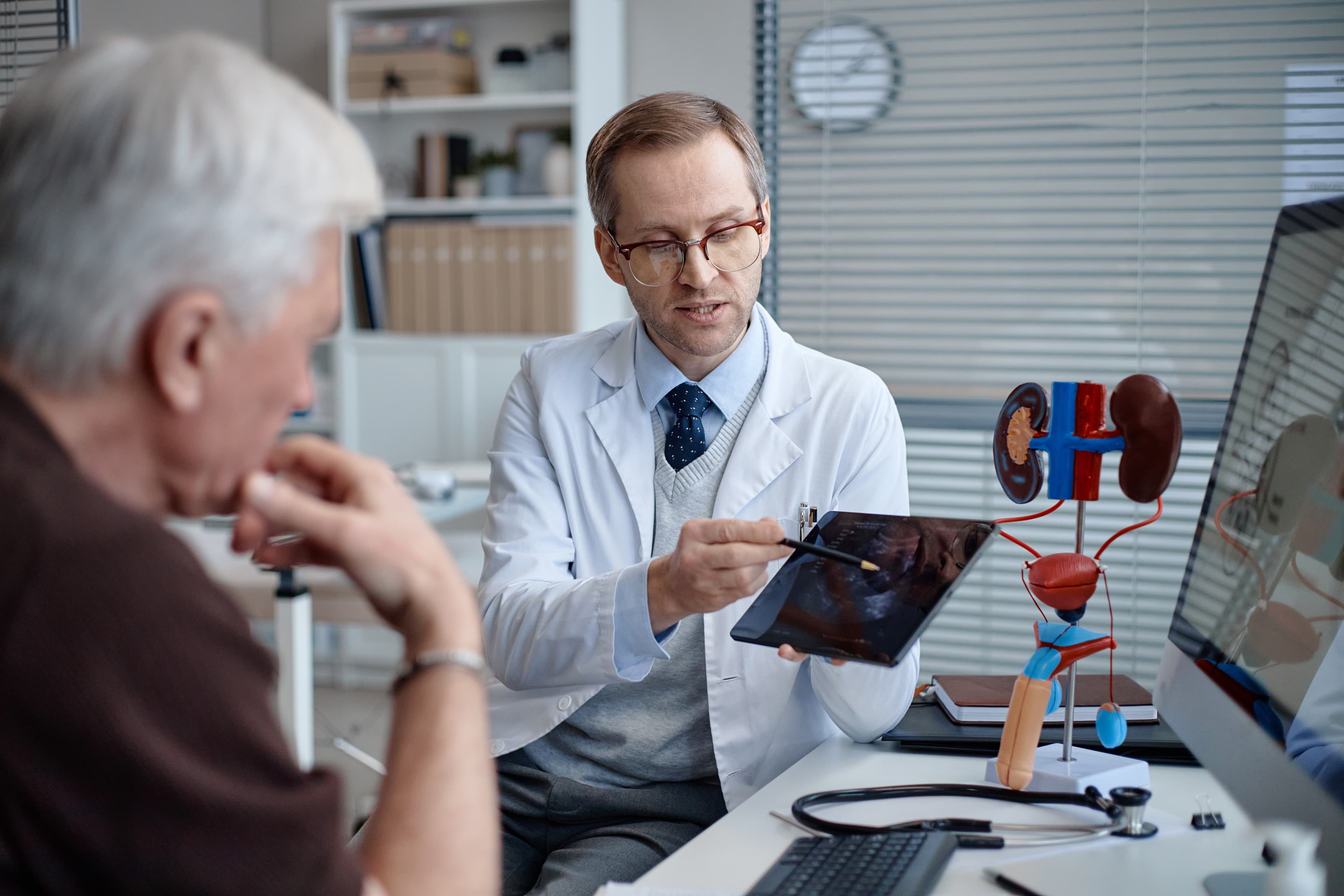 Nephrology Office Visit