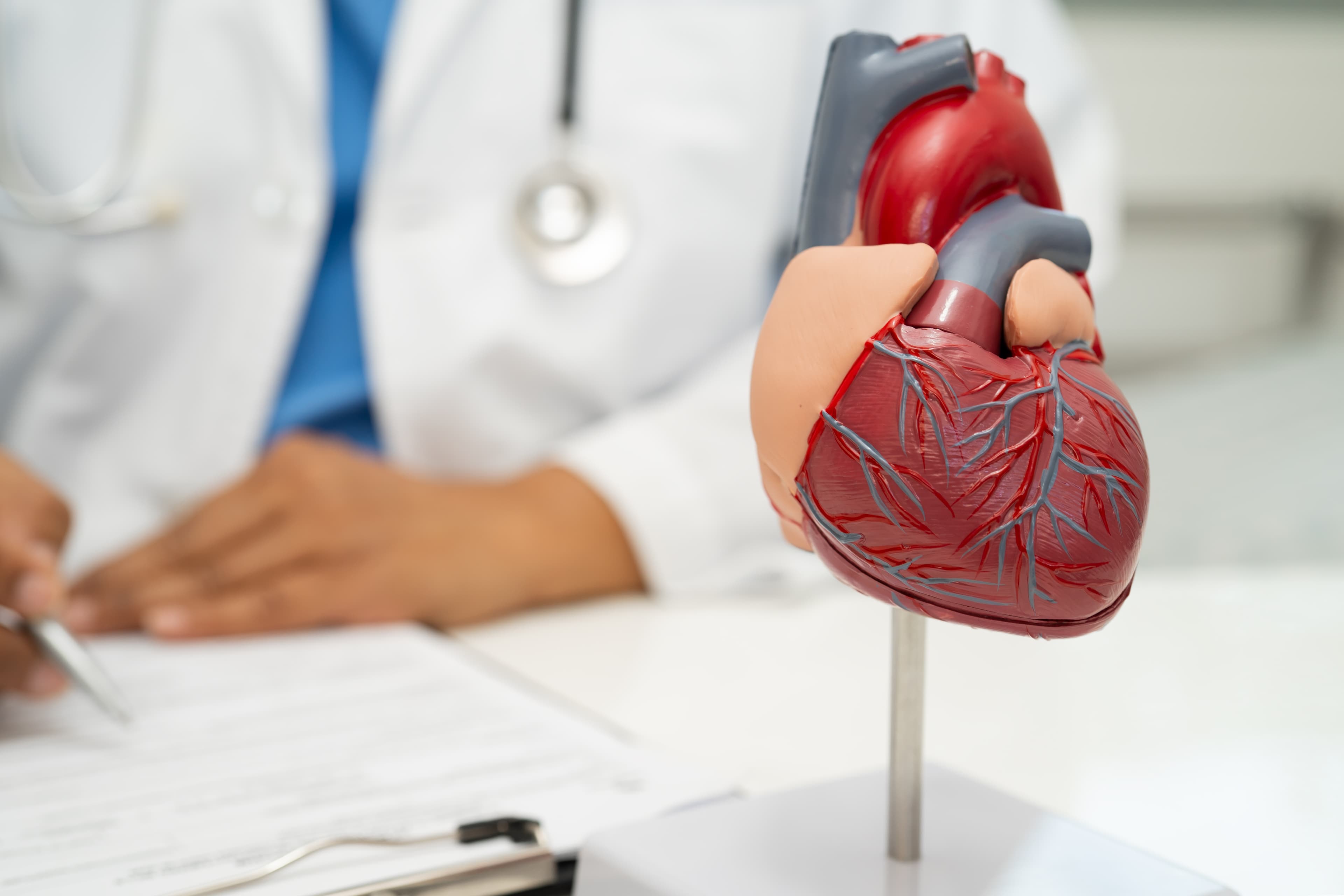 cardiology-consult