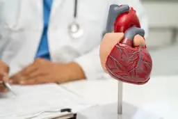 Cardiovascular risk assessment